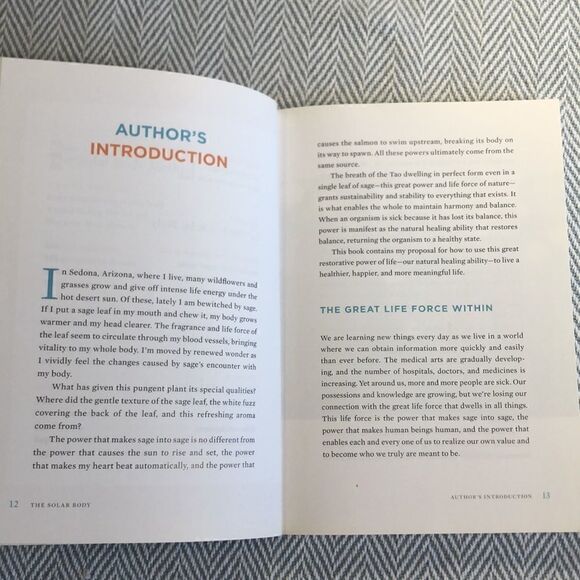 The SOLAR BODY The Secret to Natural Healing NYT bestselling Author Ilchi Lee - Picture 4 of 12